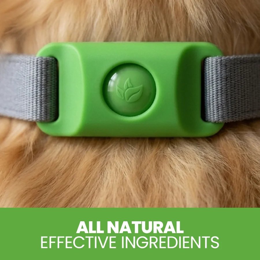 Pest-Shield Tag™